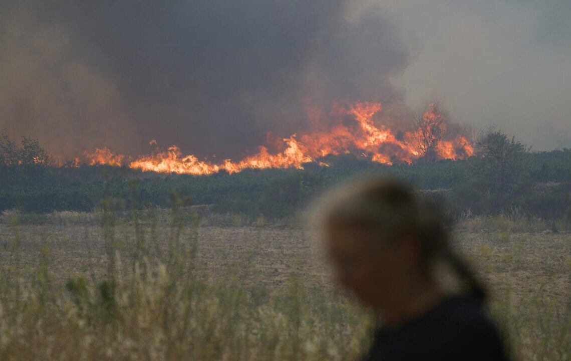 Massive wildfire in southern France brought under control: authorities