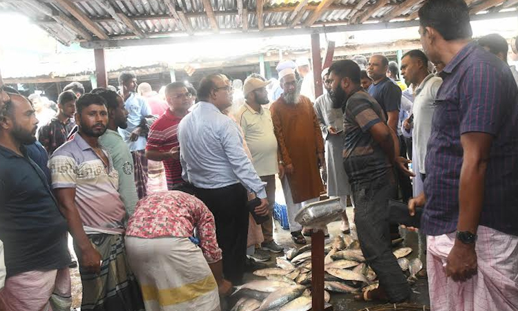 DG fisheries calls for ensuring sustainable fish harvesting from sea 