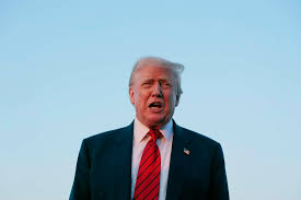 Trump says to move homeless people 'far' from Washington