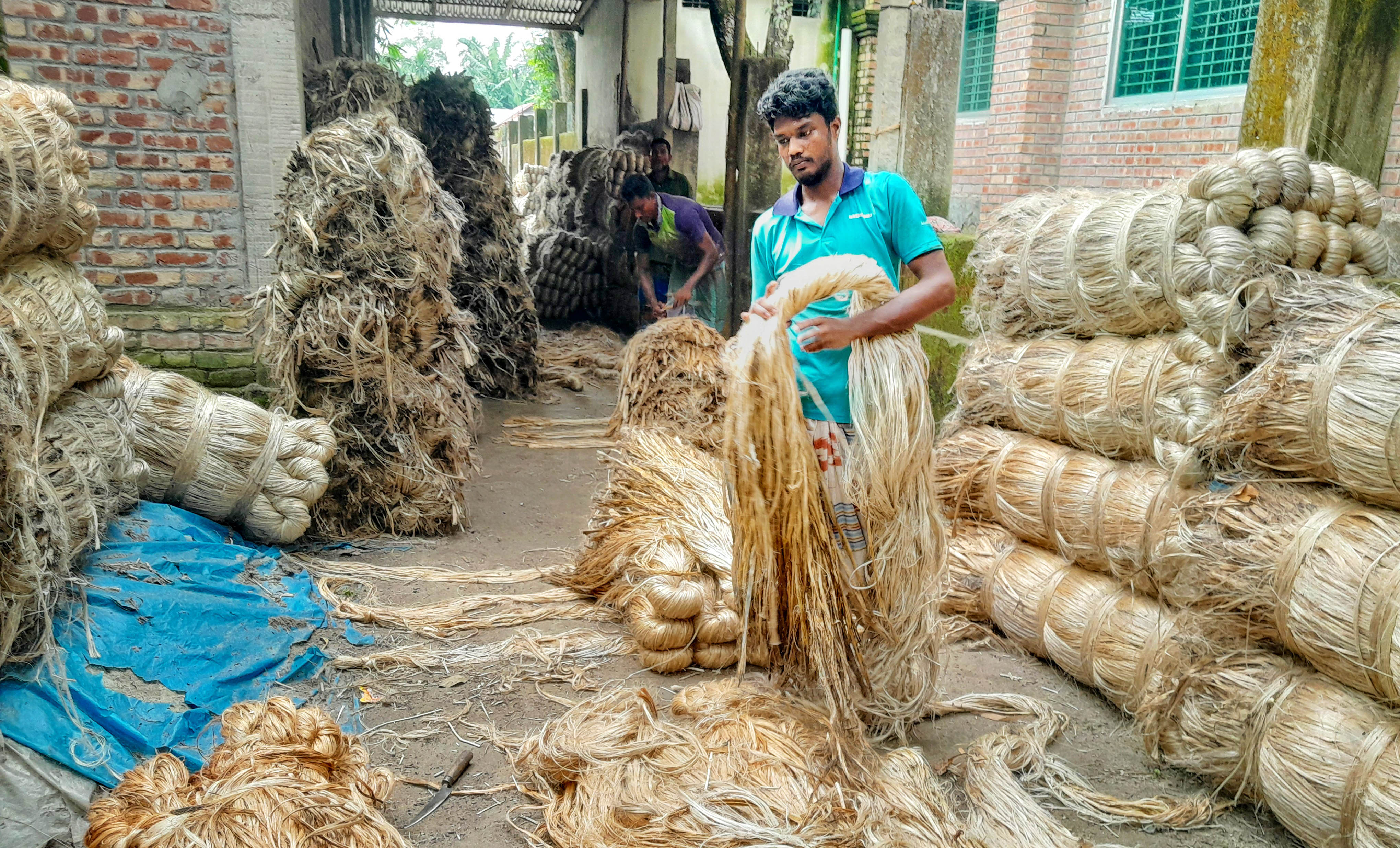 Jute brings smile on Lalmonirhat farmers’ face