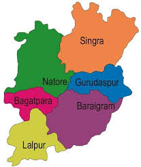 Loan cheques distributed marking Youth Day in Natore 