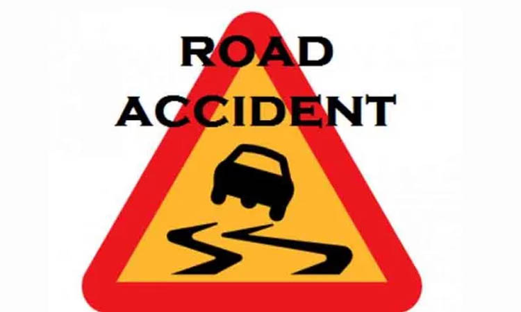 Woman killed in Khulna road accident