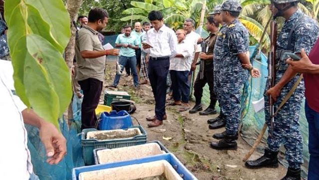 Chemical-mixed shrimp seized, five traders fined in Khulna