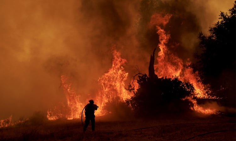 Forest fire sweeps through northern Morocco