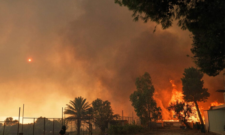 Greek firefighters make progress against wildfires