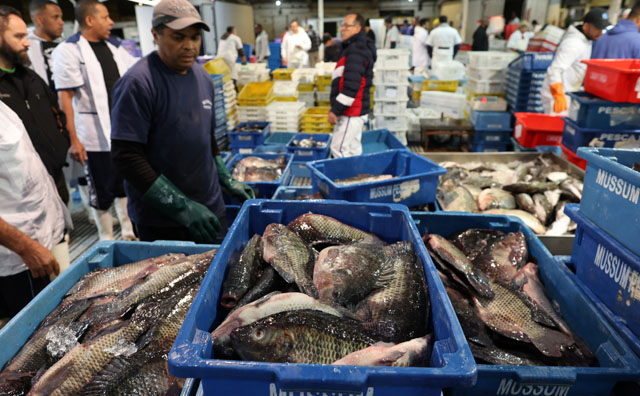 Trump's tariffs drown Brazil's fish industry