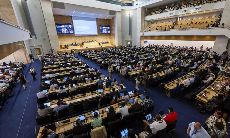 Plastic pollution treaty talks end without deal