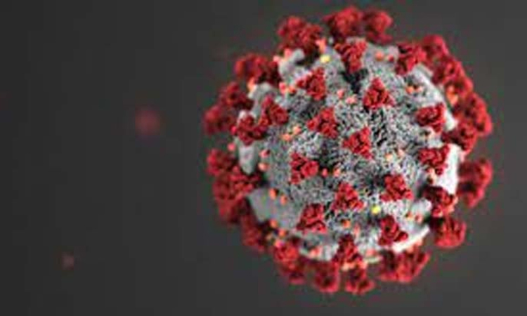 One covid-19 case reported in 24 hrs