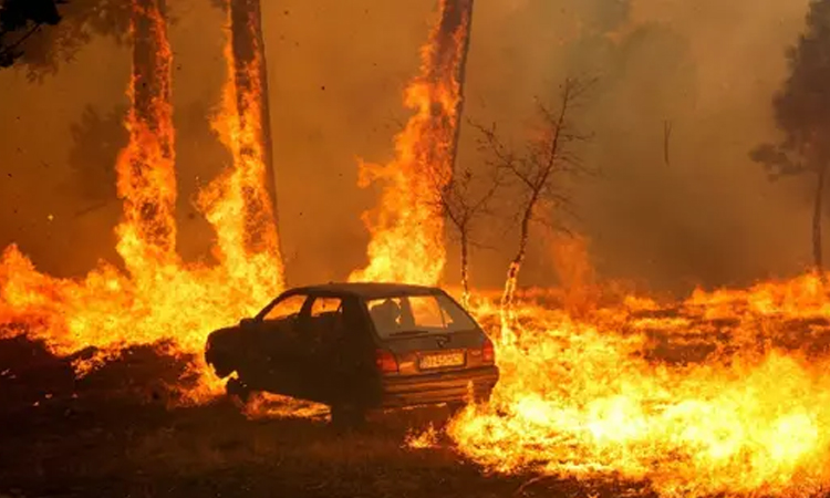 Portugal wildfires claim first victim, as Spain on wildfire alert