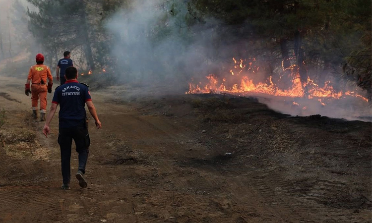 250 flee as Turkish rescuers battle wildfire in Gallipoli