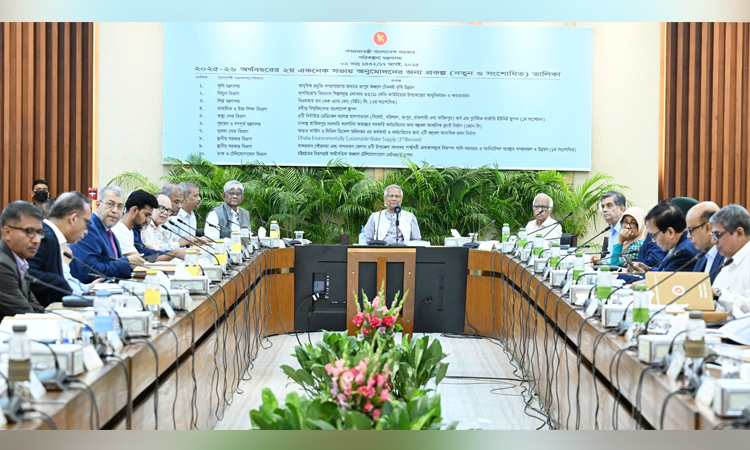 CA chairs ECNEC meeting