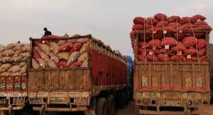 Importers get permission to import Indian onions through Hili port 