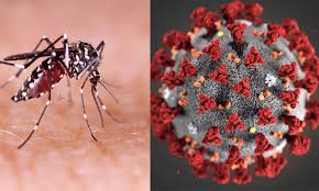 Covid-19, dengue outbreaks decline in Khulna