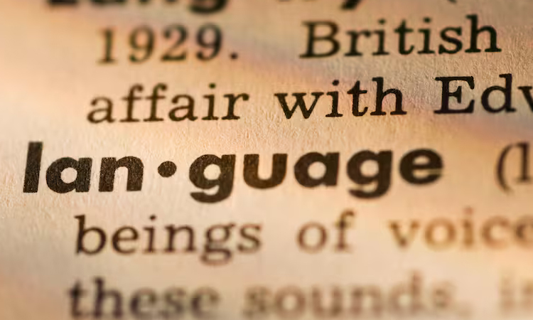 'Skibidi' and 'tradwife': social media words added to Cambridge dictionary