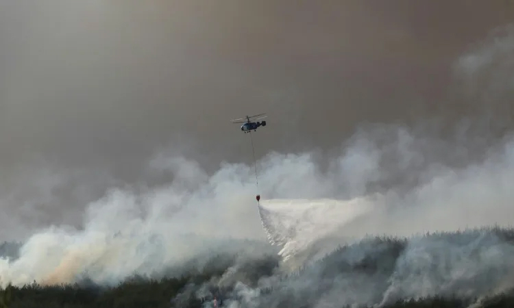 Hundreds flee as rescuers battle wildfire in Gallipoli
