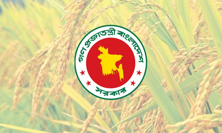 Govt's Boro collection hits historic high