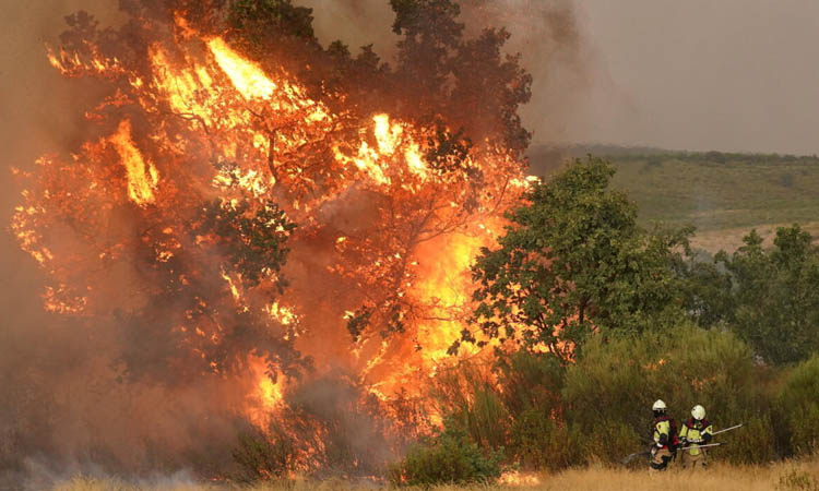 Spain and Portugal battle wildfires as death toll mounts
