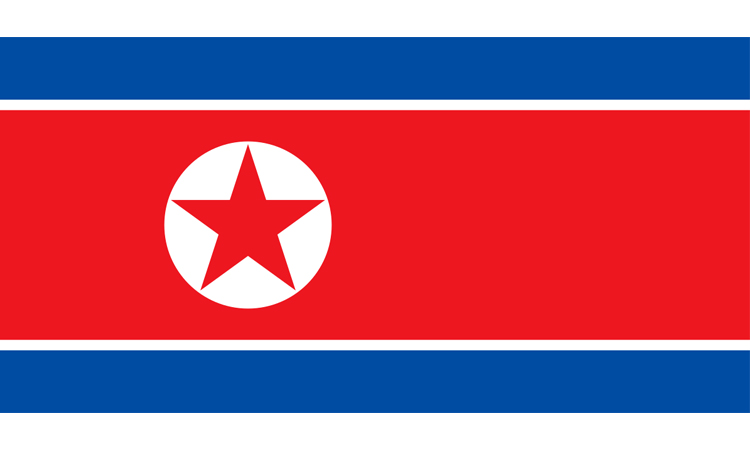 Elderly spies for North Korea appeal to be sent there: Seoul official
