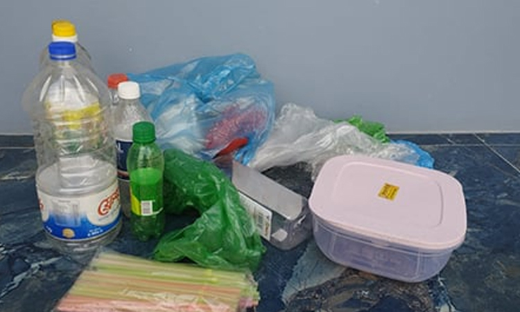 Checking plastic use urgent to save environment: Emphasis given on int'l and local initiatives