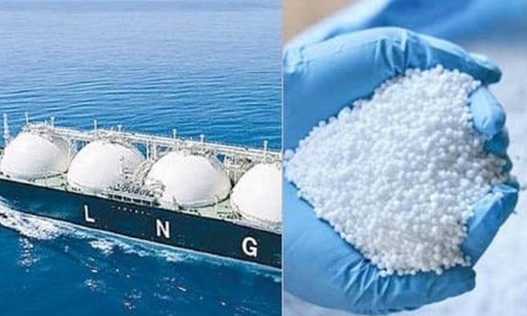 Govt to procure 3 cargos LNG, 2.45 lakh MTs fertilizer