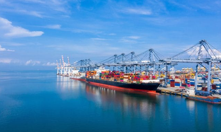 Japan exports fall most in 4 years as Trump tariffs bite