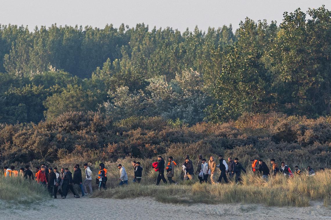 UK sees record number of asylum applications: govt data