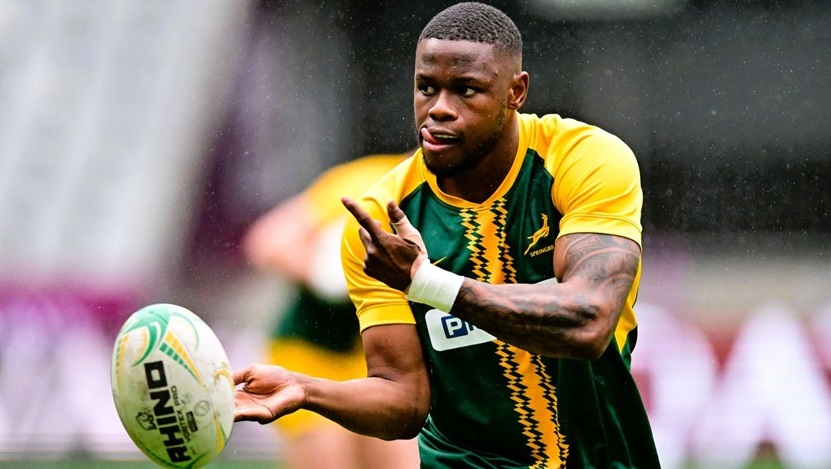 Fassi recalled after Le Roux withdraws from Wallabies Test