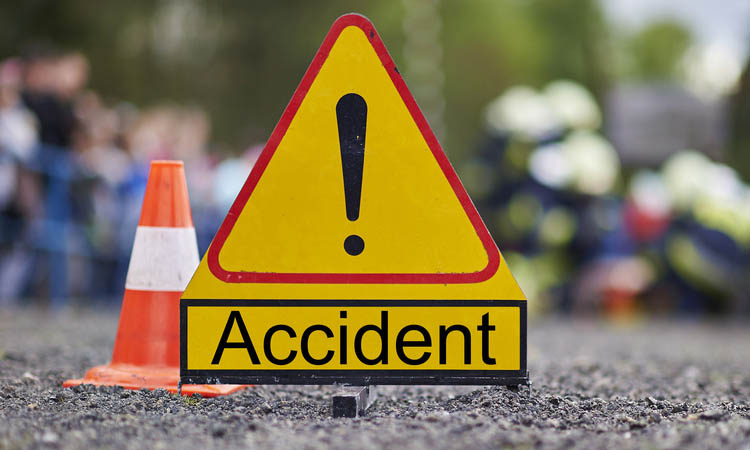Van driver killed in Manikganj road accident