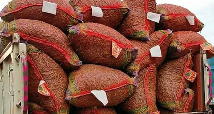 Import of green chili from India increases supply, reduces price