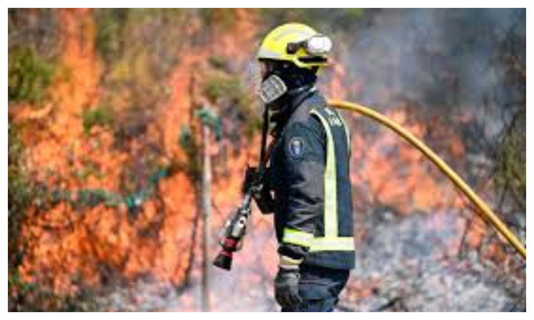 Spain's wildfires almost vanquished: official
