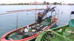 Vietnam to evacuate 300,000 as Typhoon Kajiki nears