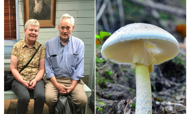 Australian mushroom meal survivor says health 'never returned'