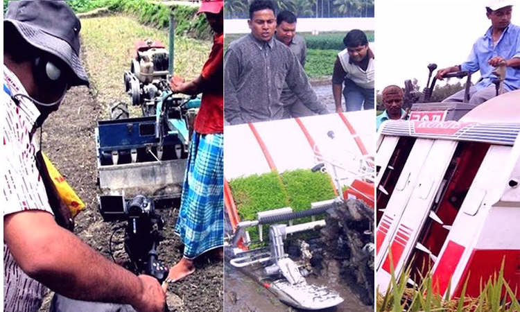 Bangladesh advancing towards sustainable agriculture through climate adaptation