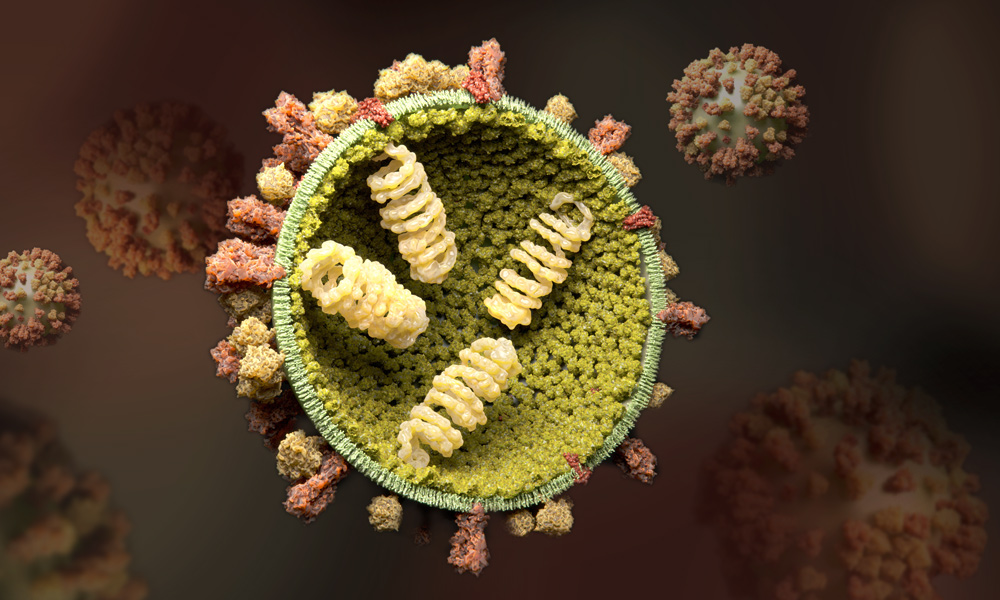 57 percent of patients admitted to hospitals with fever infected with influenza
