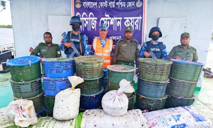 850 kg of crabs seized in Sundarbans