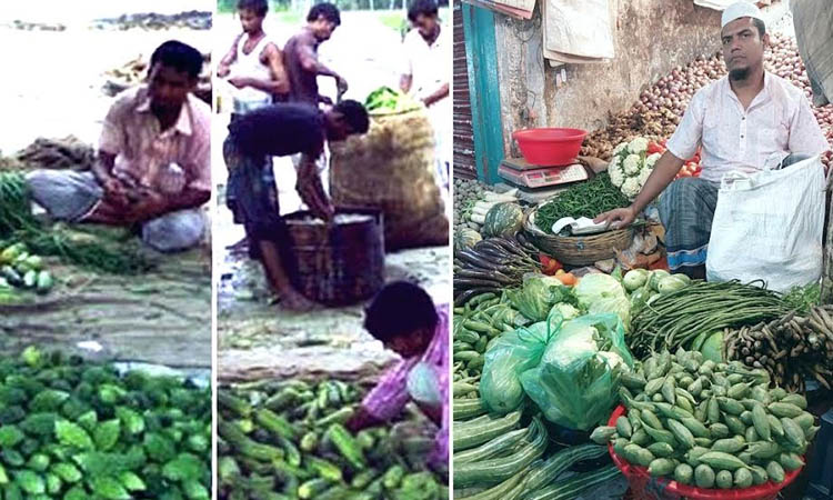 Bumper vegetable yields, Rangpur farmers satisfied with prices