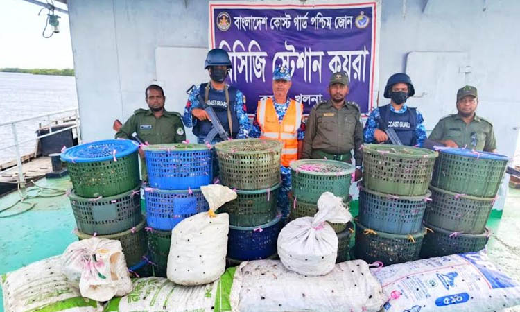Coast Guard seizes 850 kg crab in Sundarbans