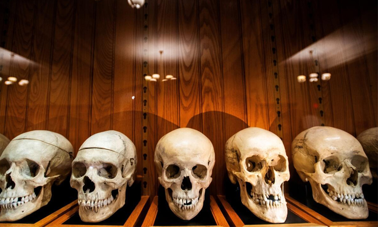 Unnamed skeletons? US museum at center of ethical debate