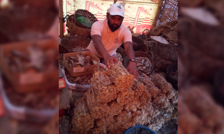 Bagherhat's dried fish tops the country; Govt revenue hits TK 6cr