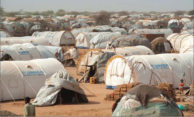 More than 6,000 flee Kenya refugee camp as aid shortages worsen: UN