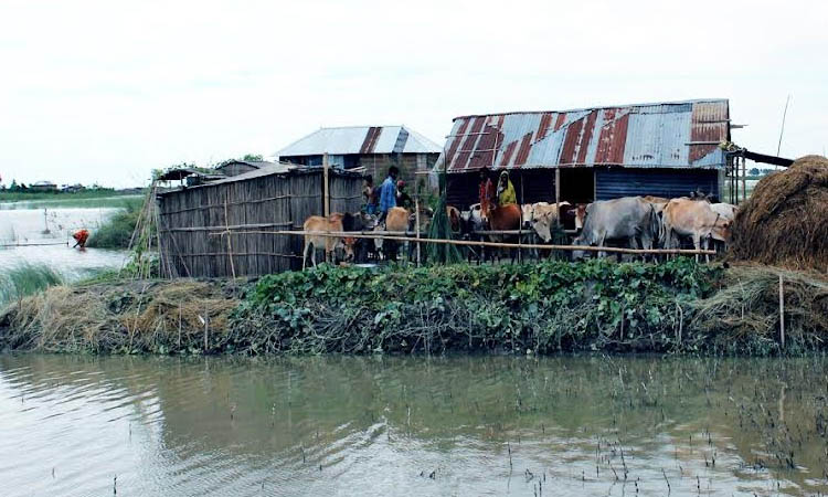 Char people's climate adaptation success can be replicated nationwide