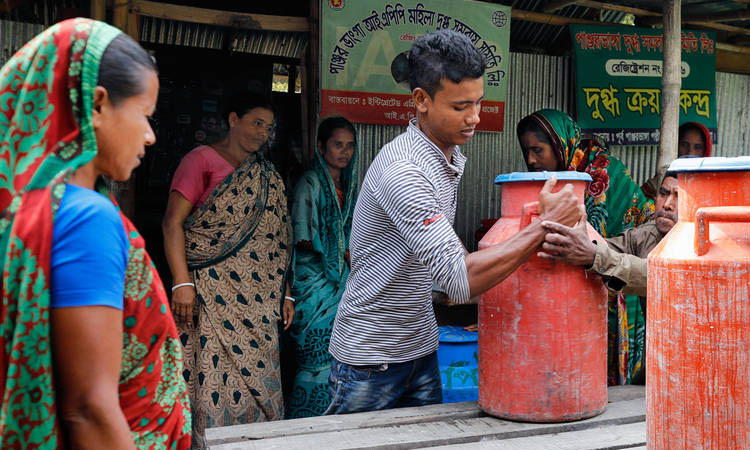 A woman entrepreneur’s story to success with dairy farming 