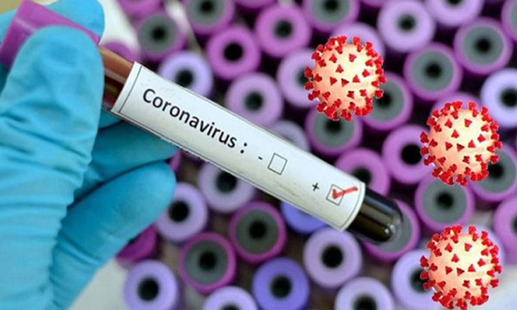 No new COVID-19 cases reported in 24 hours