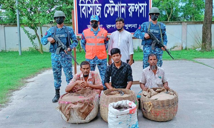 Coast guard seizes 500 kg of crabs in two operations 