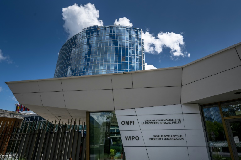 Chinese cluster now world's top innovation hotspot: UN