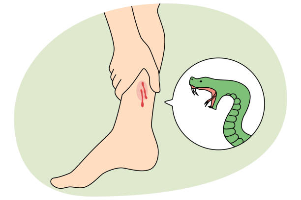 Minor boy dies from snake bite in Jashore