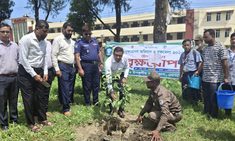 Week-long tree fair begins in Noakhali
