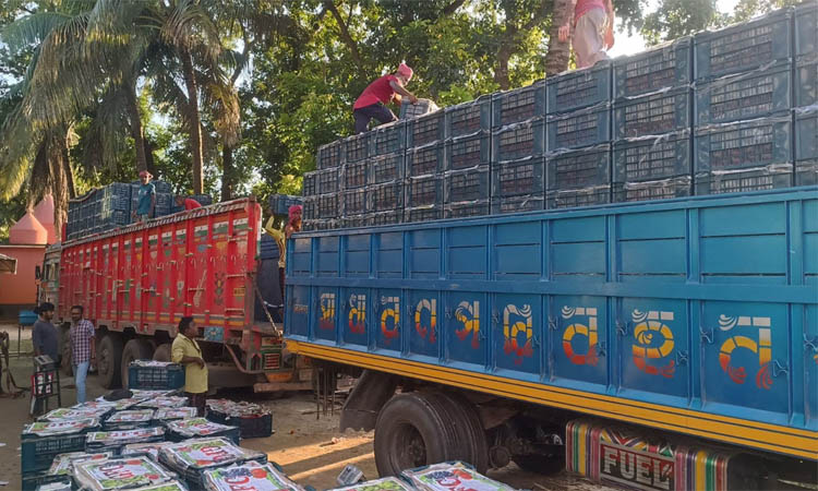 Tomato import resumes through Hili land port