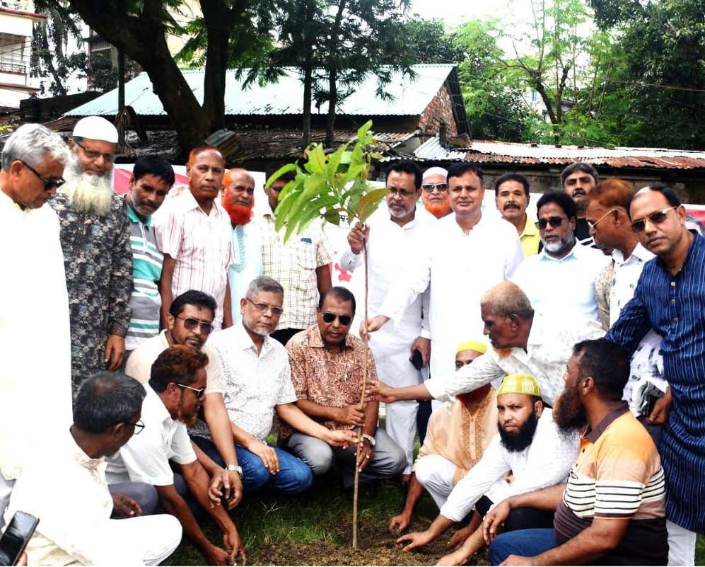 Tree plantation held in Bogura marking BNP's 47th founding anniversary
