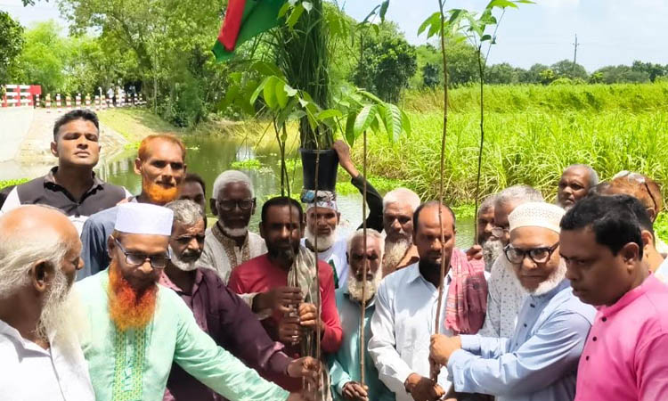 2,200 saplings distributed in C'nawabganj marking BNP's 47th founding anniversary